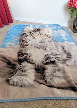 Soft Cat Blanket